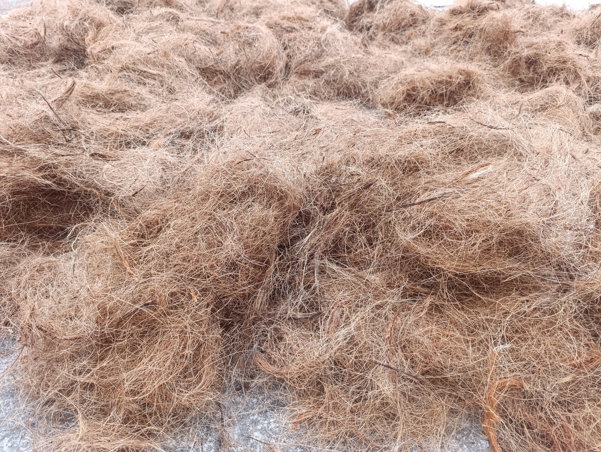 Coconut husk fibers showcasing organic texture for Kerala coir products
